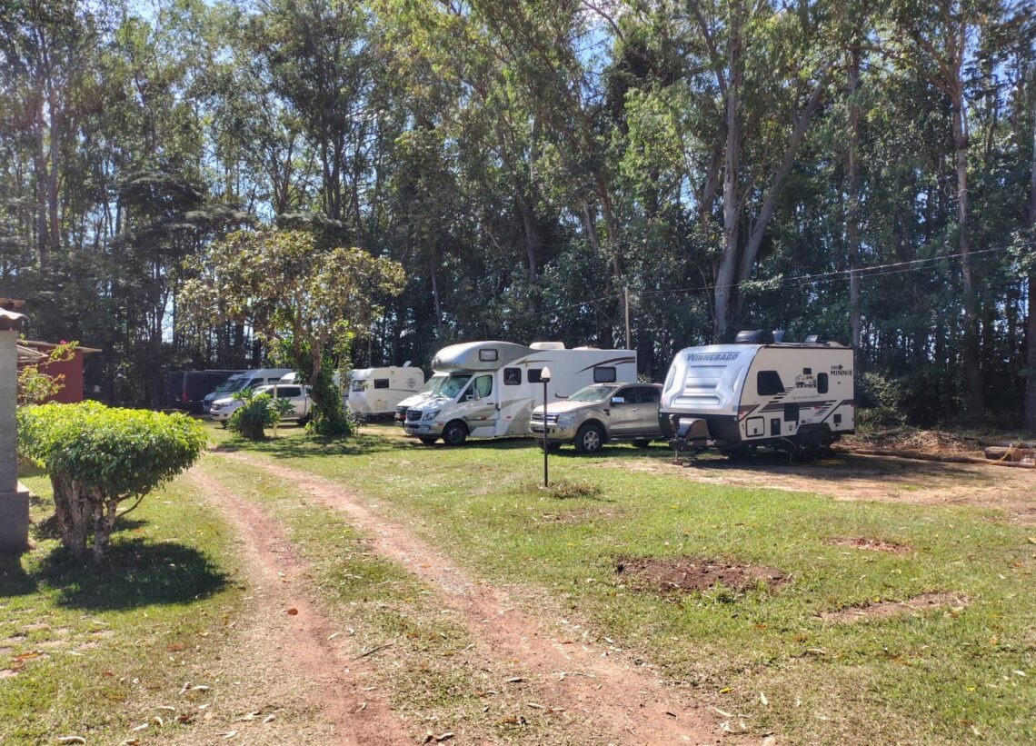 Astrea Campestre