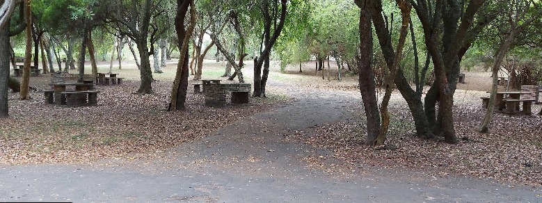 Camping municipal Las Cañas